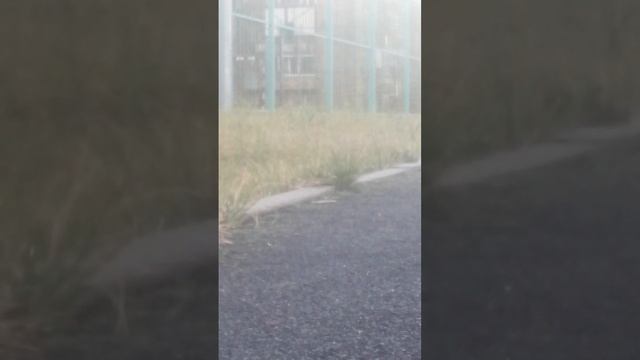 бегаю 1 км ( не получилось. смотреть онлайн