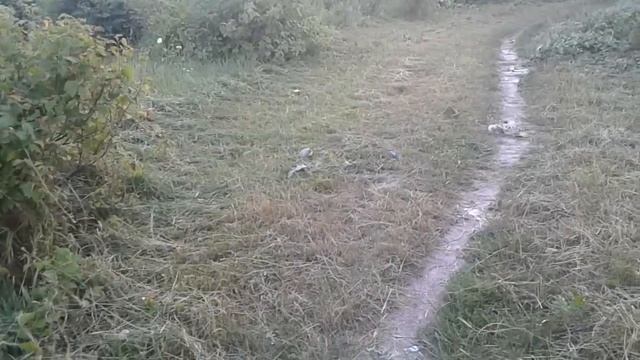 Нож мотокосы не косит даже с заточкой - исправляем смотреть онлайн