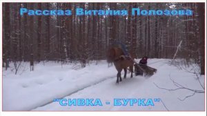 Рассказ Виталия Полозова "СИВКА - БУРКА", читает Вальдемар Шайерманн