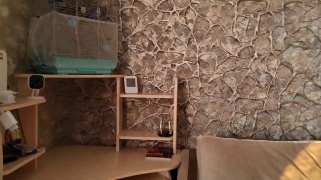 Сокращённый Рабочий День 🤗 Костя с Владом к Парикмахеру/Что За Грипп Такой... 22.02.24 смотреть онлайн