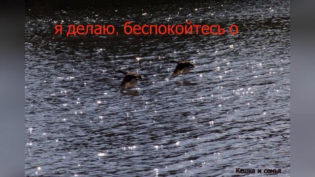 Цитаты и статусы со смыслом. смотреть онлайн