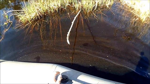 Ленинградская обл.рыбалка на Вологодских Озёрах и Речках (панское). 2019. смотреть онлайн