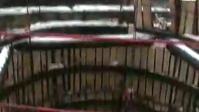 Геометрия просветления смотреть онлайн