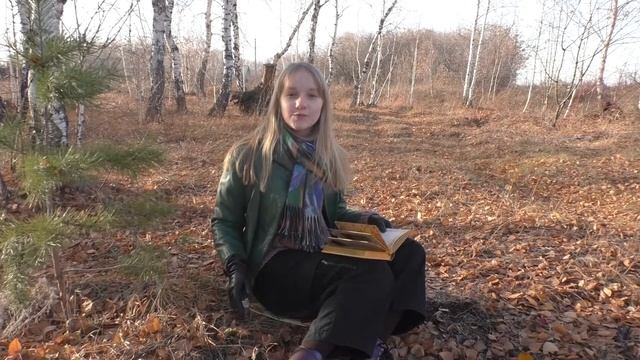 Некрасов А.Н. Отрывок из "Железой дороги" смотреть онлайн