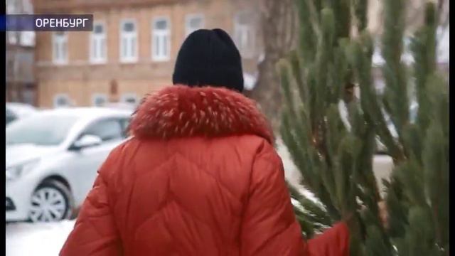 Как оренбуржцы готовятся к Новому году
