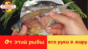 ГУСТЕРА ВЯЛЕНАЯ