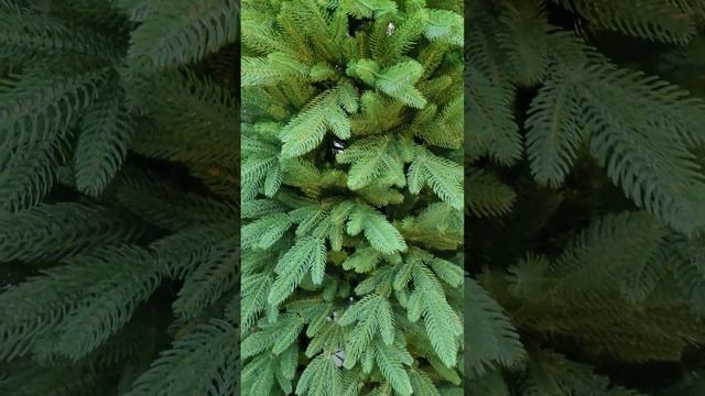 4eli.ru Самарская елка. Аккуратная, четкая, объемная новогодняя красавица! смотреть онлайн