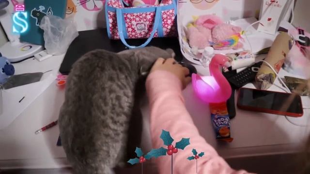 Кто заказывал СОСИСКИ? Тима, Эмма и КОТЕНОК распаковывают ПОДАРКИ от Святого Николая ? смотреть онлайн