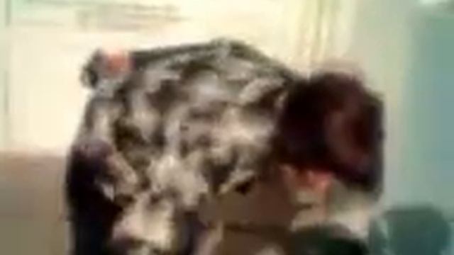 Видео0001 смотреть онлайн