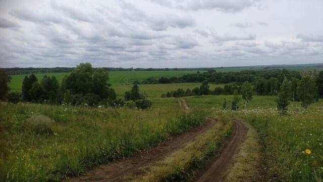 Ее боялись все.  Заключительная часть