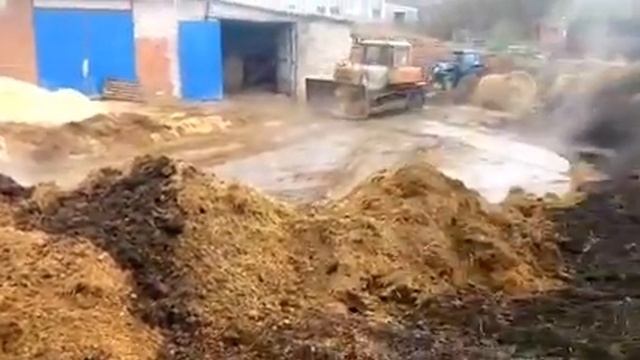 Конский навоз с конефермы Ковчег, поселок Ропша смотреть онлайн
