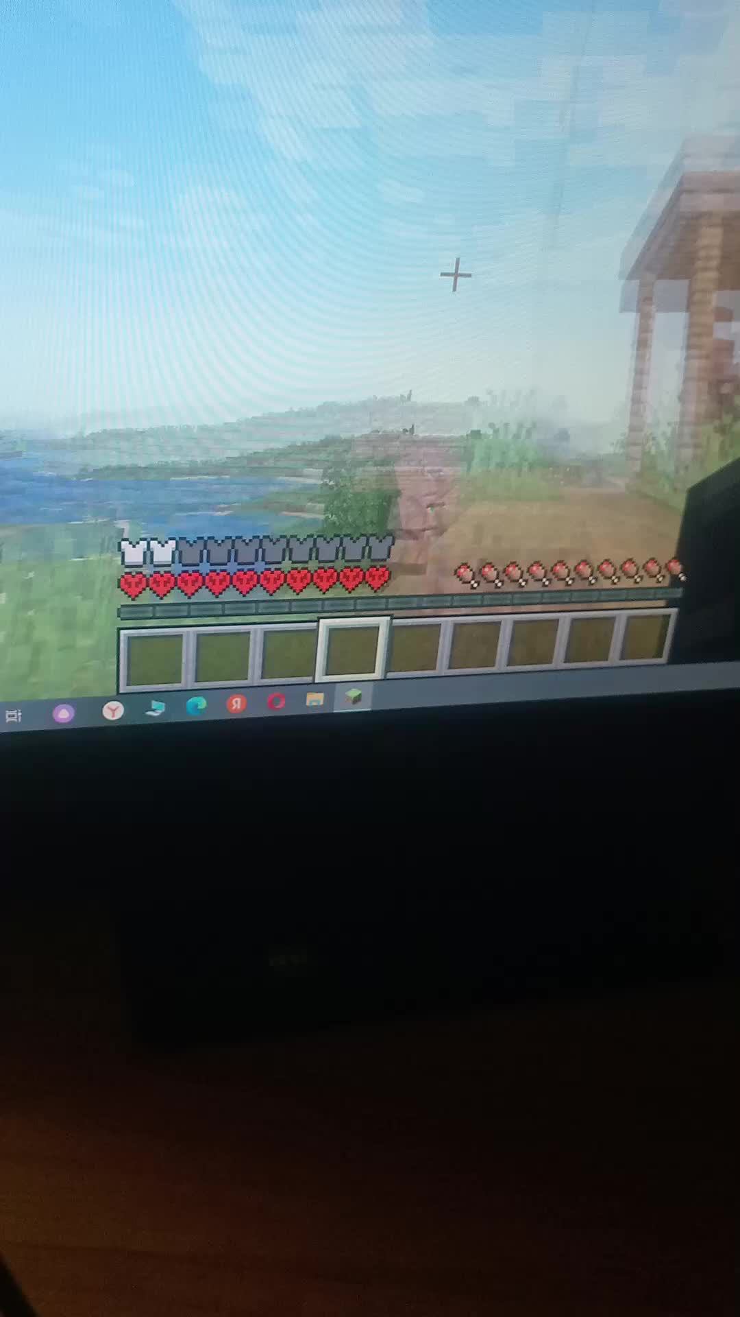 играю в Minecraft вместе с сестрой