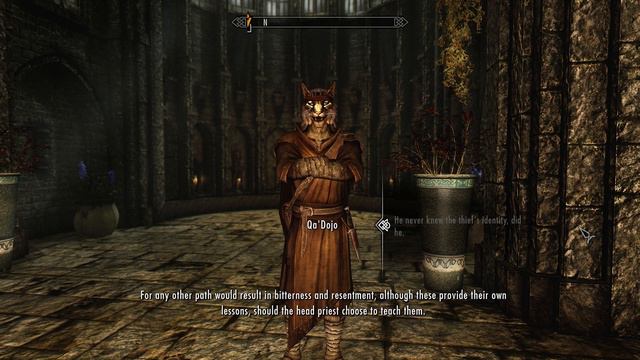 Qa'Dojo and His Uncommon Wisdom | Skyrim: Interesting NPCs смотреть онлайн