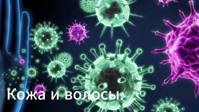 ЕЛ ТЫКВЕННЫЕ СЕМЕЧКИ Каждый День и Избавился от 5 Недугов.(Реальная Польза и Вред Семечек Тыквы) смотреть онлайн