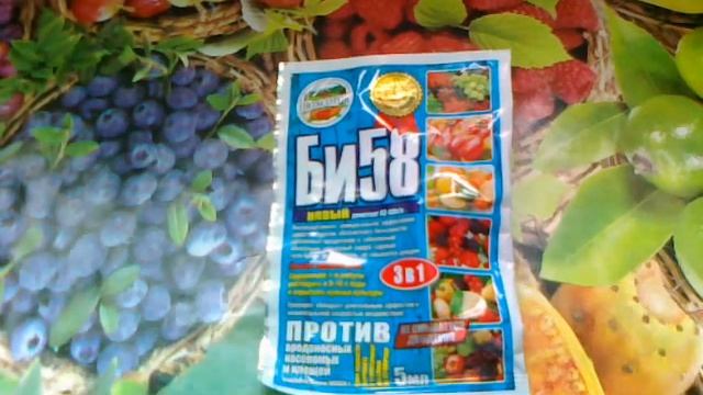 БИ-58 новый. Мощный инсектоакарицид на защите ваших растений. смотреть онлайн