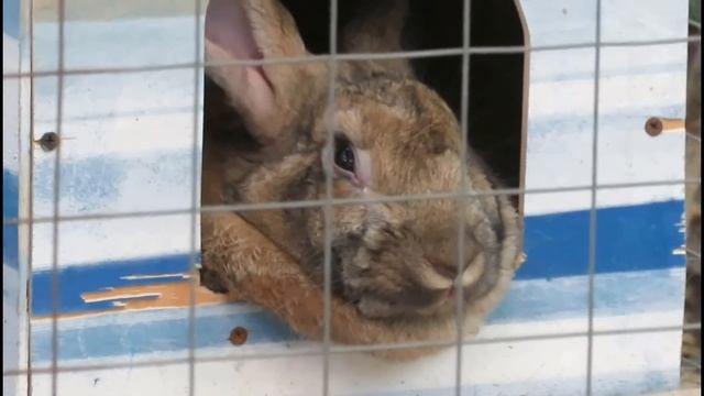 Ж/Д вокзал АНАПЫ.Откуда уходят РА 2 в КРЫМ.Очень удобная дорога до Керчи.Как купить билет на вокзал смотреть онлайн