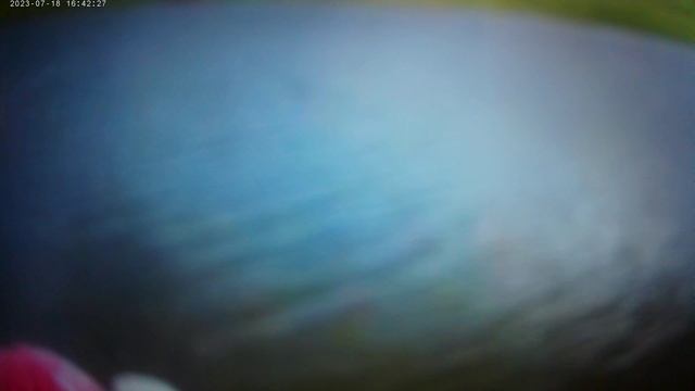 с другом на рыбалке на карпа смотреть онлайн
