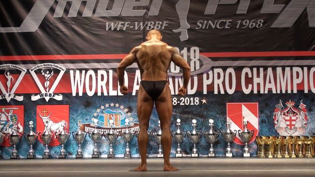 IGOR ARTEMYEV (RUSSIA). POSING.PRO CHAMPIONSHIP 2018. KAUNAS. смотреть онлайн