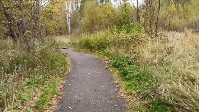 Открытый колодец у д.20 Октябрьского поселка в Ярославле #КоммунистыМарксистыЯрославля смотреть онлайн