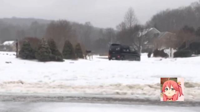 Suzuki Wagon R VS New England winters! смотреть онлайн