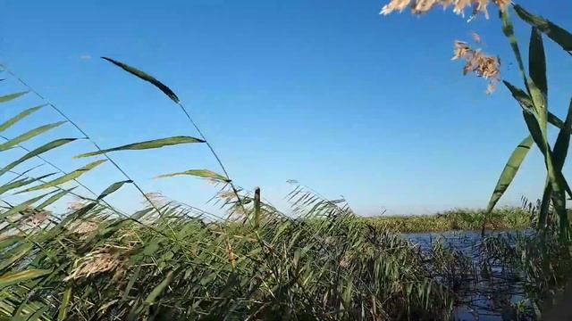 Открытие осеннего сезона 2017г. Налёт.