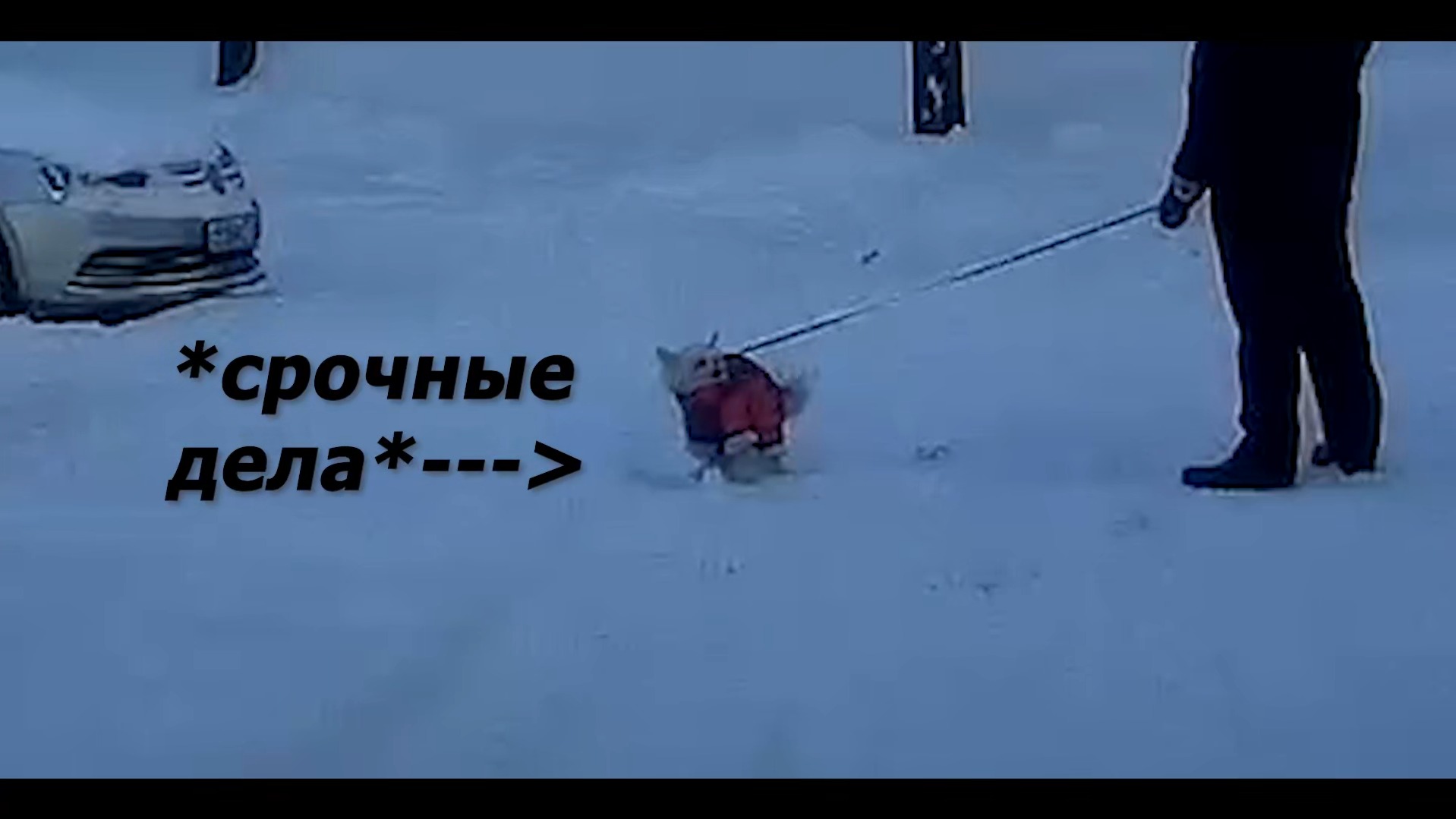 Хатико ждал, и ты подождёшь, ведь дела собаки важнее твоих!! смотреть онлайн