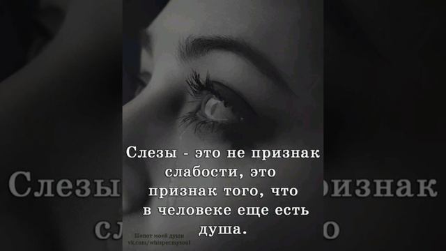 Песня а по щекам слёзы. смотреть онлайн