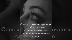 Песня а по щекам слёзы.