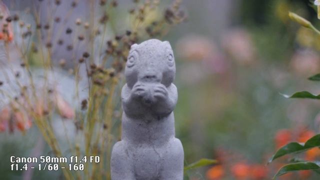 Video Test: Panasonic Lumix DMC-G6 with Various Lenses смотреть онлайн