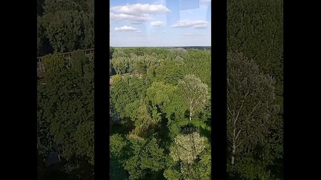 я в парке смотреть онлайн