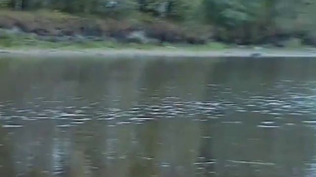 1997-49. Питер-Онего-Питер www.katernik.ru смотреть онлайн