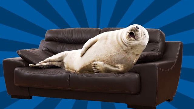 НОВОГОДНИЙ СТРИМ С ПОДПИСЧИКАМИ В ВАРКРАФТ 3! смотреть онлайн