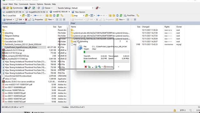 Cara Backup Database Mysql Dengan Acronis Cloud Backup Di Ubuntu Server смотреть онлайн