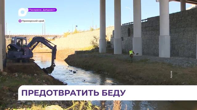 Резерв техники для расчистки русел рек создадут в Приморье смотреть онлайн