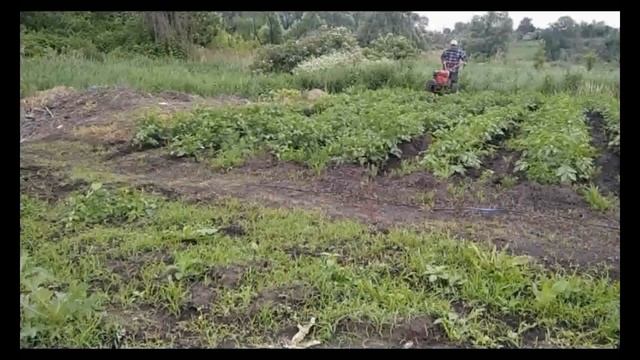 Как это было или Сезон 2021+ финал розыгрышей! смотреть онлайн