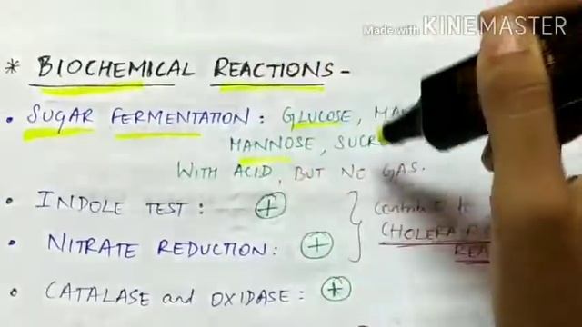 Vibrio cholerae (Part 1) | Microbiology | Hand written notes смотреть онлайн