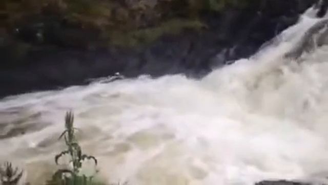 Водопад Кивач Карелия смотреть онлайн