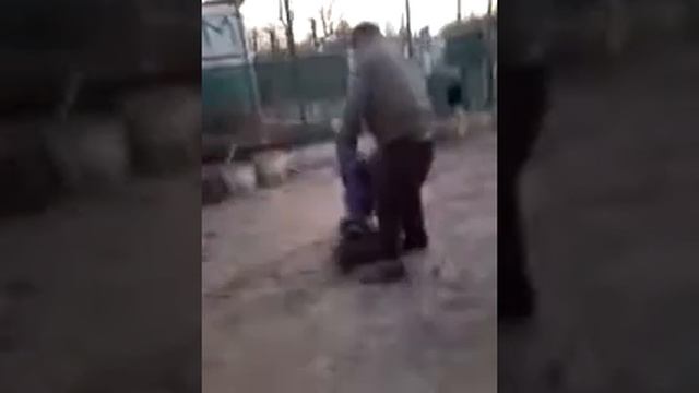 Жук пошел в рознос... смотреть онлайн