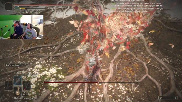 🔴 Elden Ring Challenge Run - Beating the Game Only Using Katanas - Malenia Today! смотреть онлайн