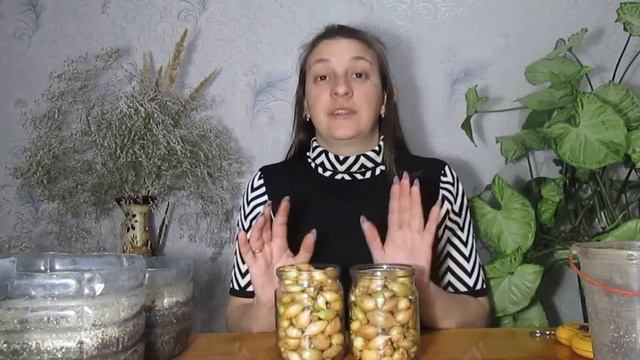 Как ВЫГОДНЕЕ КУПИТЬ ЛУК СЕВОК (ТЫКАНКУ) на вес или на банку? смотреть онлайн