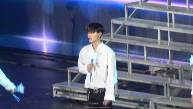 FOREVER -  Lin Yanjun Focus