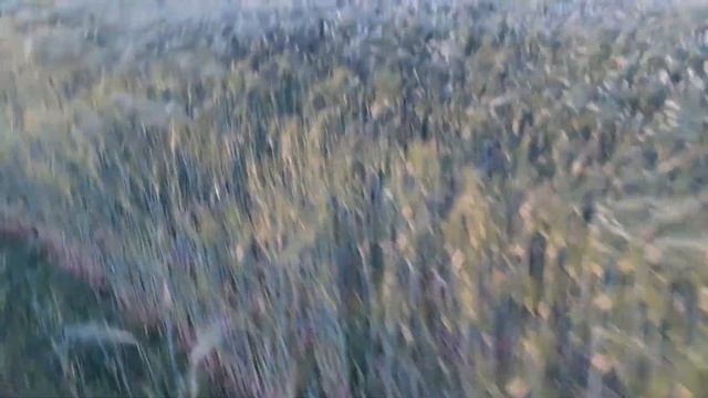 Оприскователь и МТЗ-892 смотреть онлайн