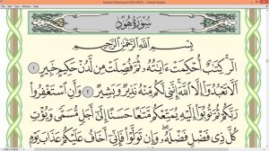 Шейх Айман Сувейд сура Юнус Худ стр 221