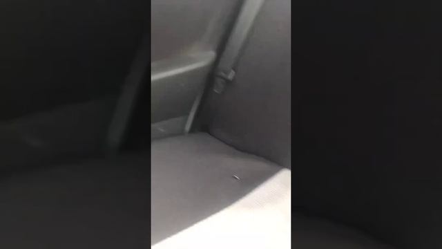 Как удалить жевачка с сиденья смотреть онлайн