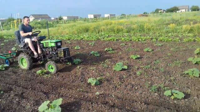 культивация кабака мототрактором смотреть онлайн