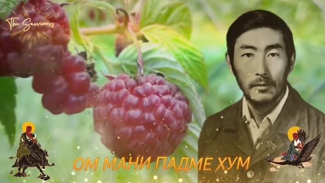 Om Mani Padme Hum ?️ ?? ?? ?? ?️. смотреть онлайн