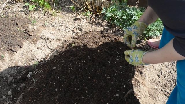 Как правильно посадить лук севок. смотреть онлайн