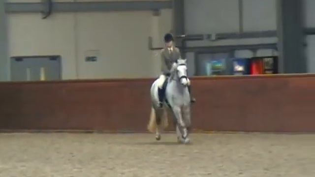 Ruby's First M&M Novice WH Class at SNEC Nov 08 смотреть онлайн