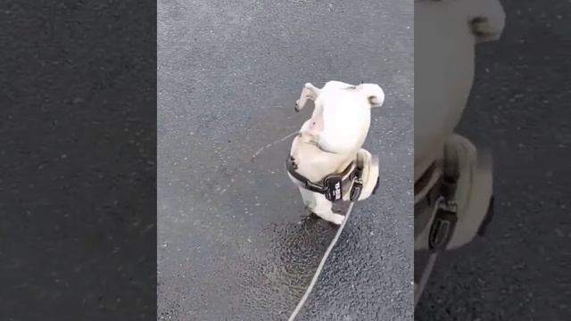 самоучка смотреть онлайн