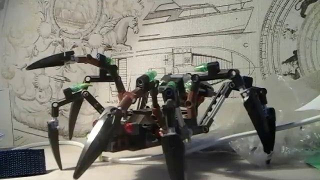 Много пауков. смотреть онлайн